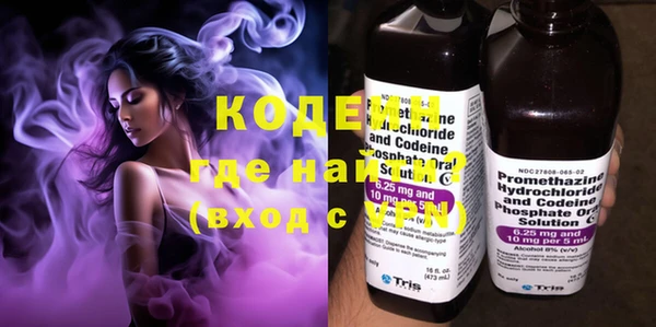 амф Пестово