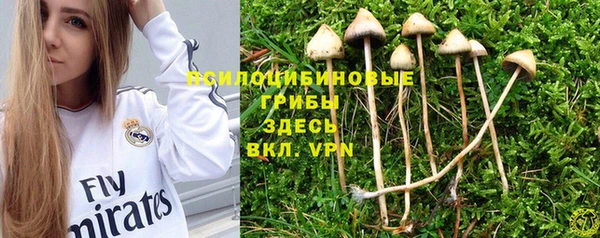 2c-b Абинск