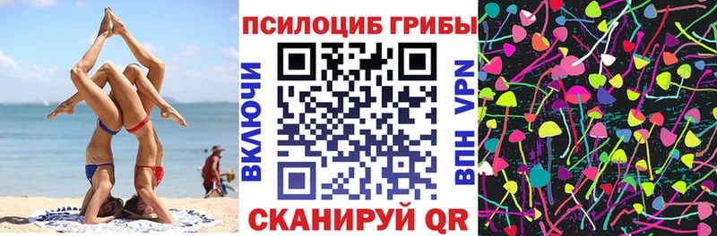 Псилоцибиновые грибы MAGIC MUSHROOMS  Вышний Волочёк 